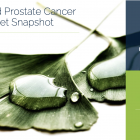 Prostate Cancer KOL Snapshot Report - Image 2